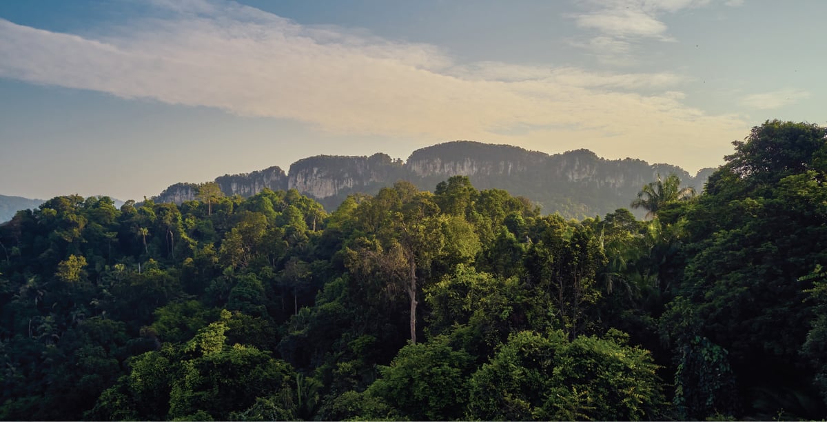 KL East