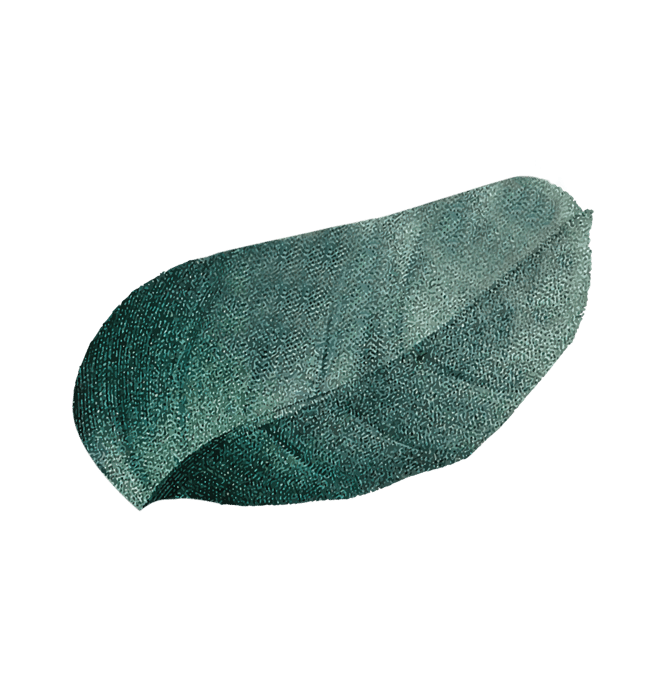 Serenia Baleria