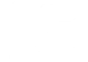 Type A 360° virtual view icon