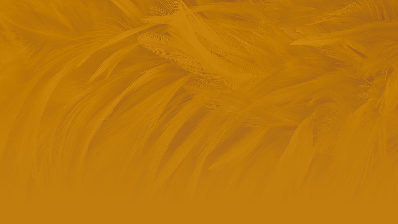 Serenia Aqila @ Serenia City