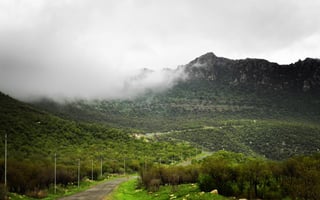 صورة متجر مصيف قرداغ