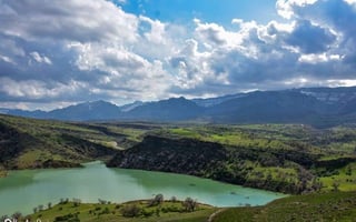 صورة متجر سد استيل