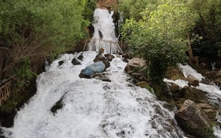 صورة متجر مصيف احمد اوا