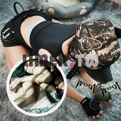 活潑狗狗犽登場！跑泡跳跳後斷電慵懶曬太陽 (ˊᗜˋ*)