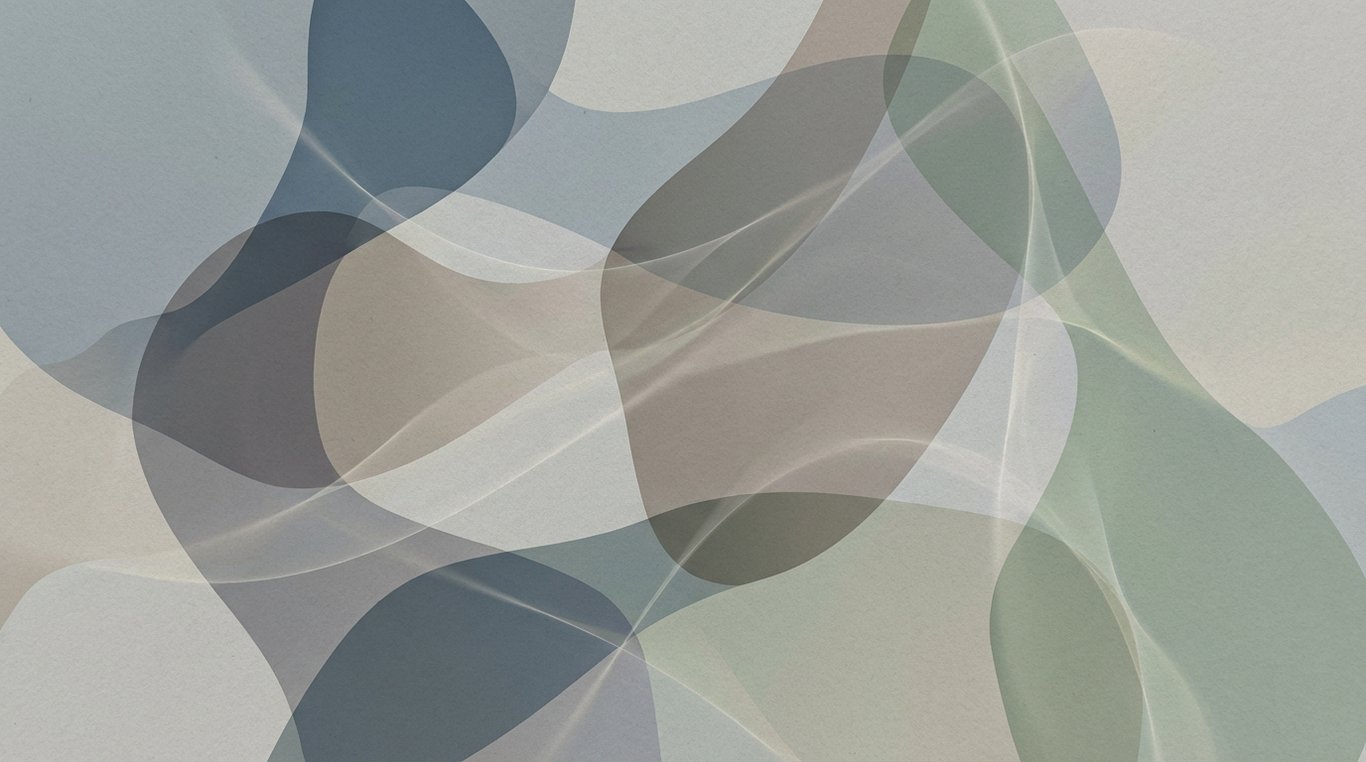 Photo d'équipe professionnelle d'Evolufis, ambiance collaborative et sérieuse