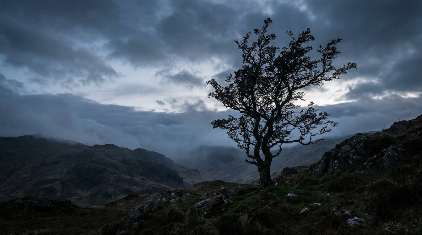 Portrait de Camille Dupont, Rédactrice en chef