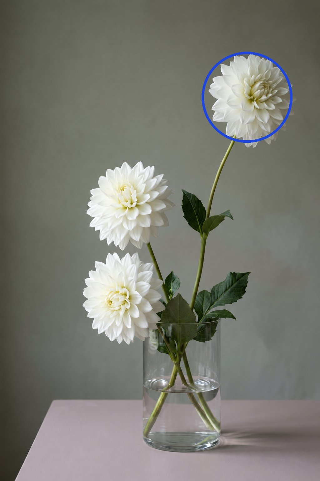 The same bouquet with a blue outline around the right-most white flower
head
