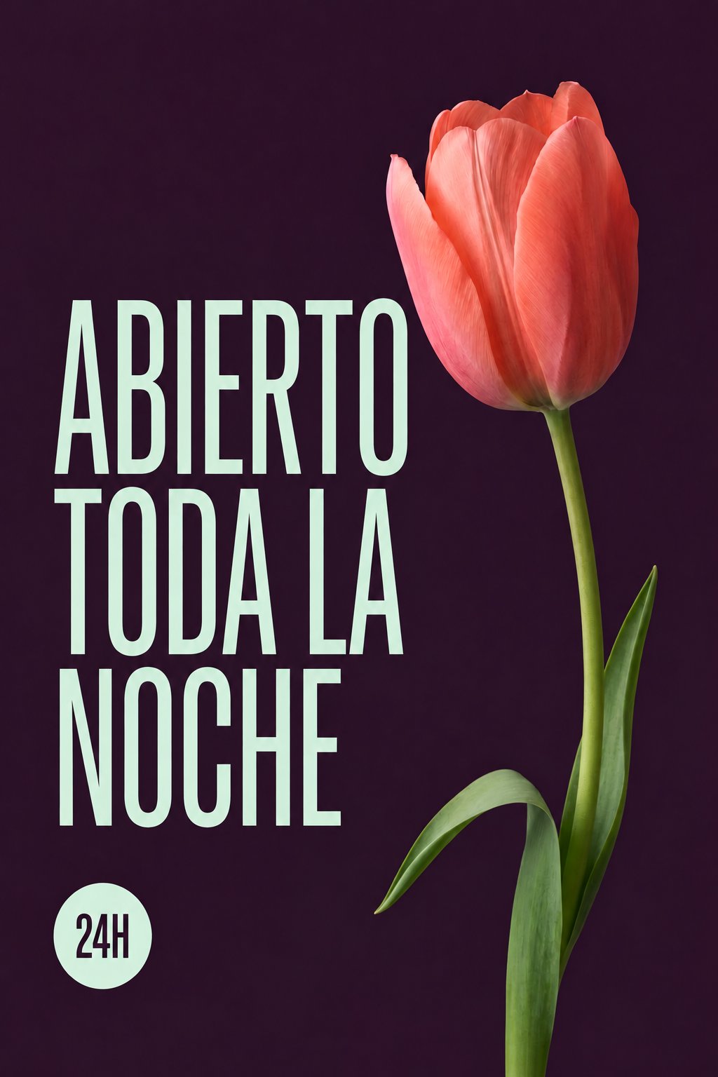 The same poster with a three-line ABIERTO TODA LA NOCHE
headline