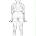Source Image 2