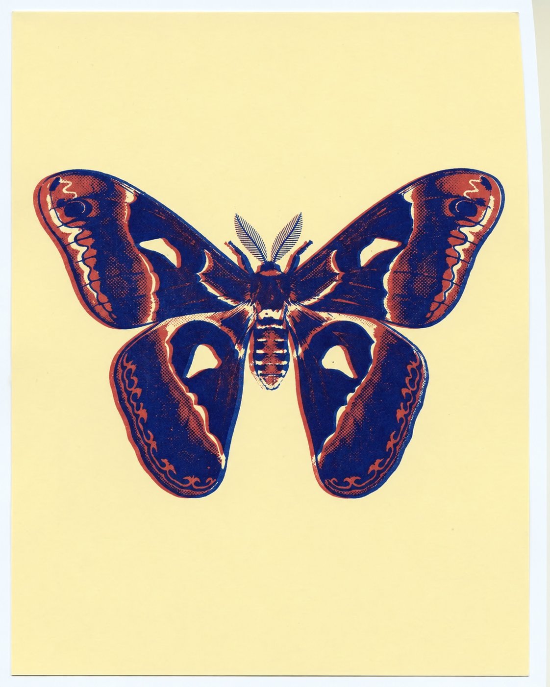 A flat moth print in blue and red ink on pale butter-coloured
paper