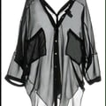 Source Image 2