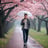 Sakura creator 3