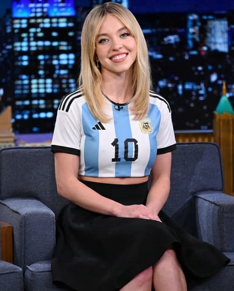 Use the first image as the main subject and the second image as the clothing reference. Replace only the subject's outfit with the exact clothes from the reference image. Preserve the person's face, body shape, hairstyle, skin tone, pose, expression, lighting, and background. Keep the clothing details identical (fabric, color, pattern, fit, sleeves, neckline, accessories attached to the outfit). Make it photorealistic with natural folds, shadows, and accurate fitting.