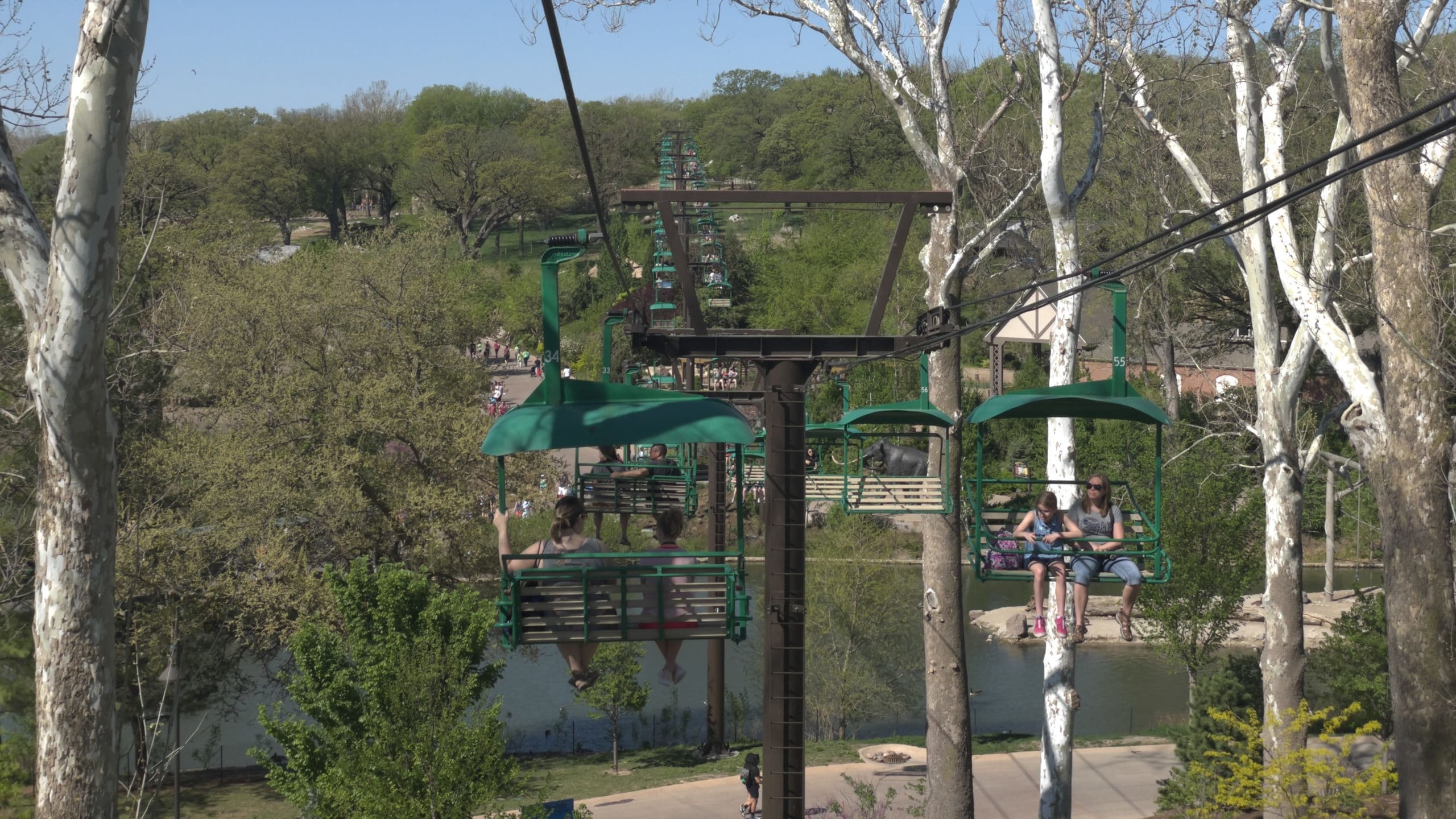 Patrons riding the skyfari, which is a ski lift style ride that travels over Lagoon and African Grasslands. 
