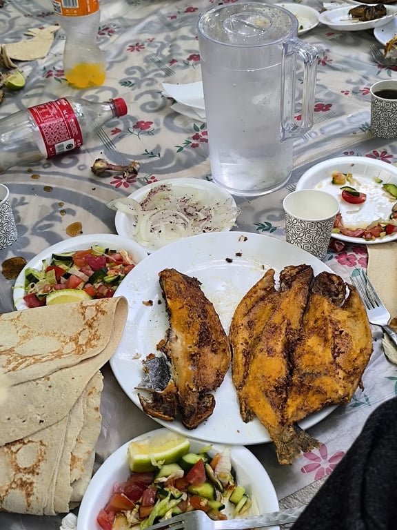 Nehri Masi Alabalik Tesisleri
