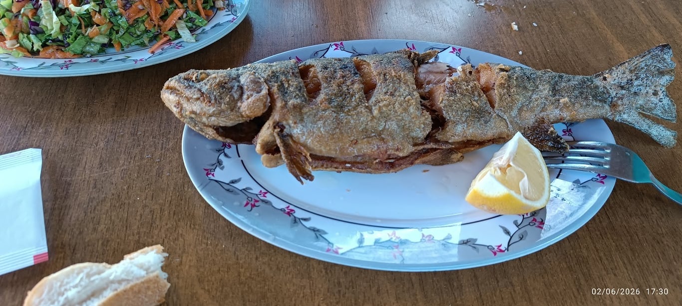Alabalık Tesisi (Hocanın Yeri)