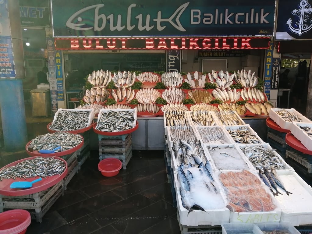 Bulut balıkçılık