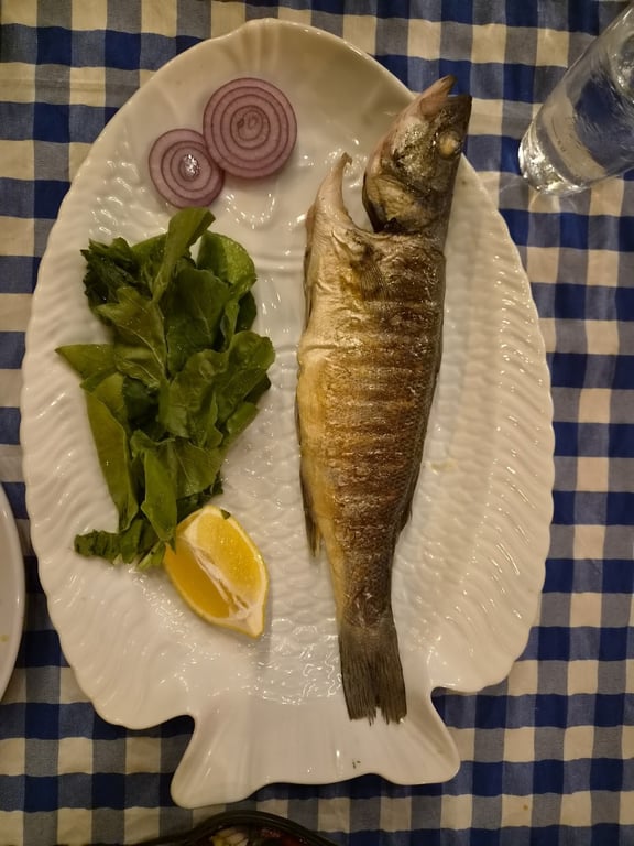 Zeytin Dalı Restoran