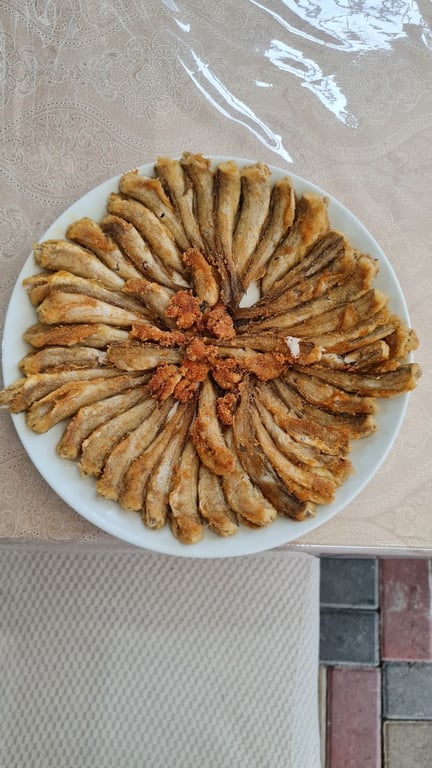 Martı Balık