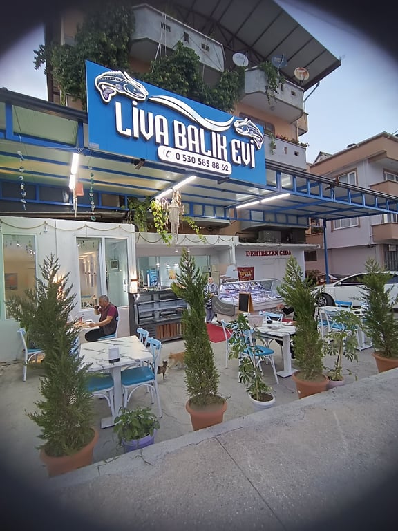 Liva Balık evi