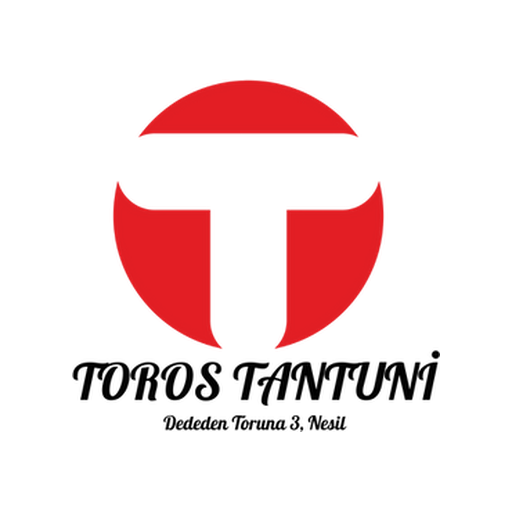 Toros Tantuni
