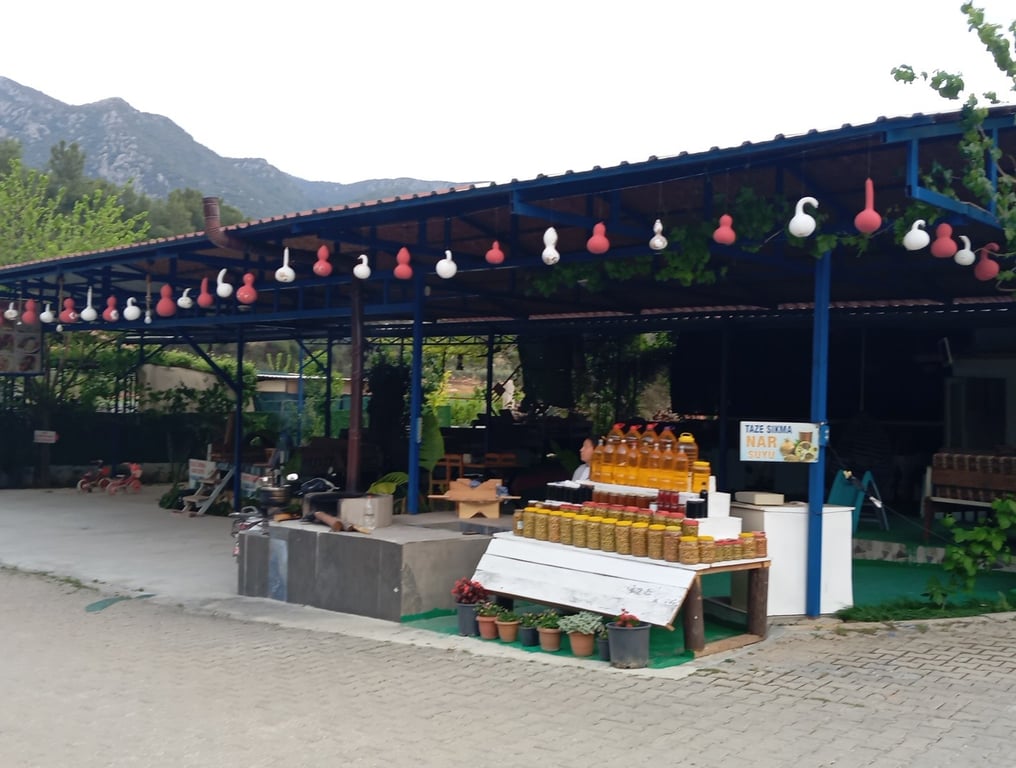 Hele Bi Dinlen Gari