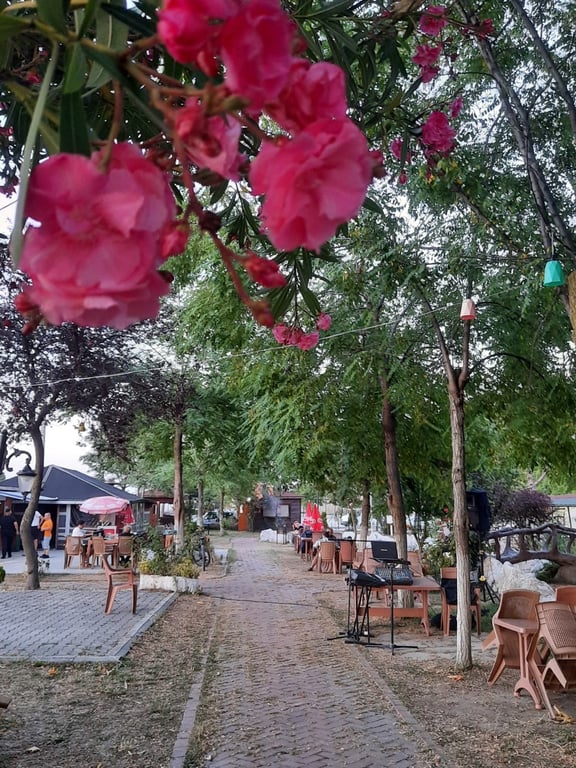 Sahil Çay Bahçesi
