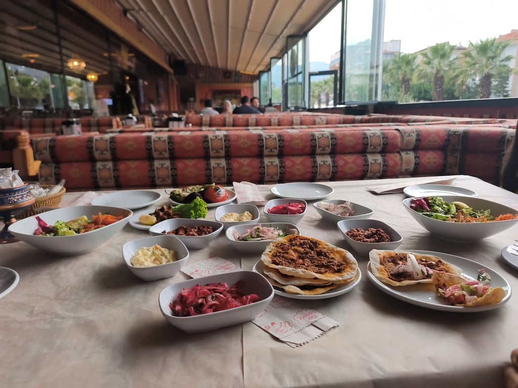 Ciğer Diyarı