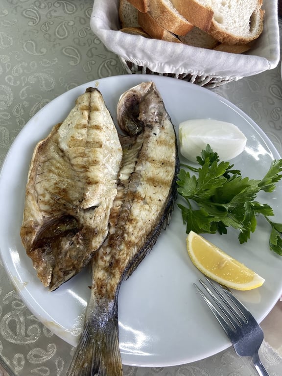 Acar Balık