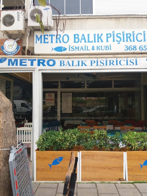 Metro Balik Pisiricisi