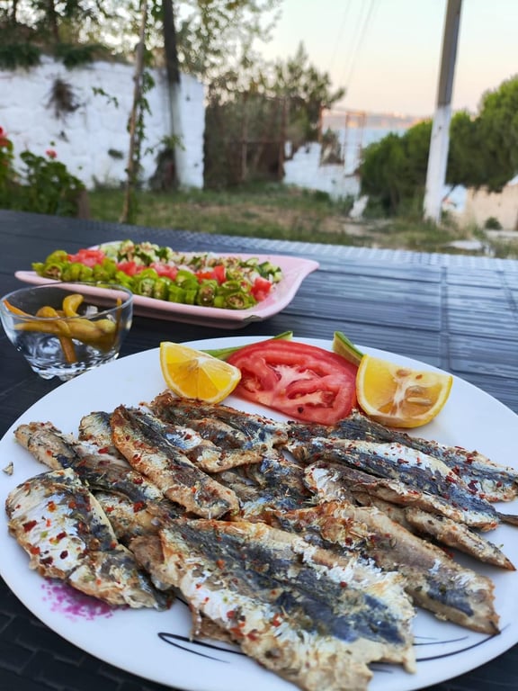 Kilitbahir Alesta Balık Evi