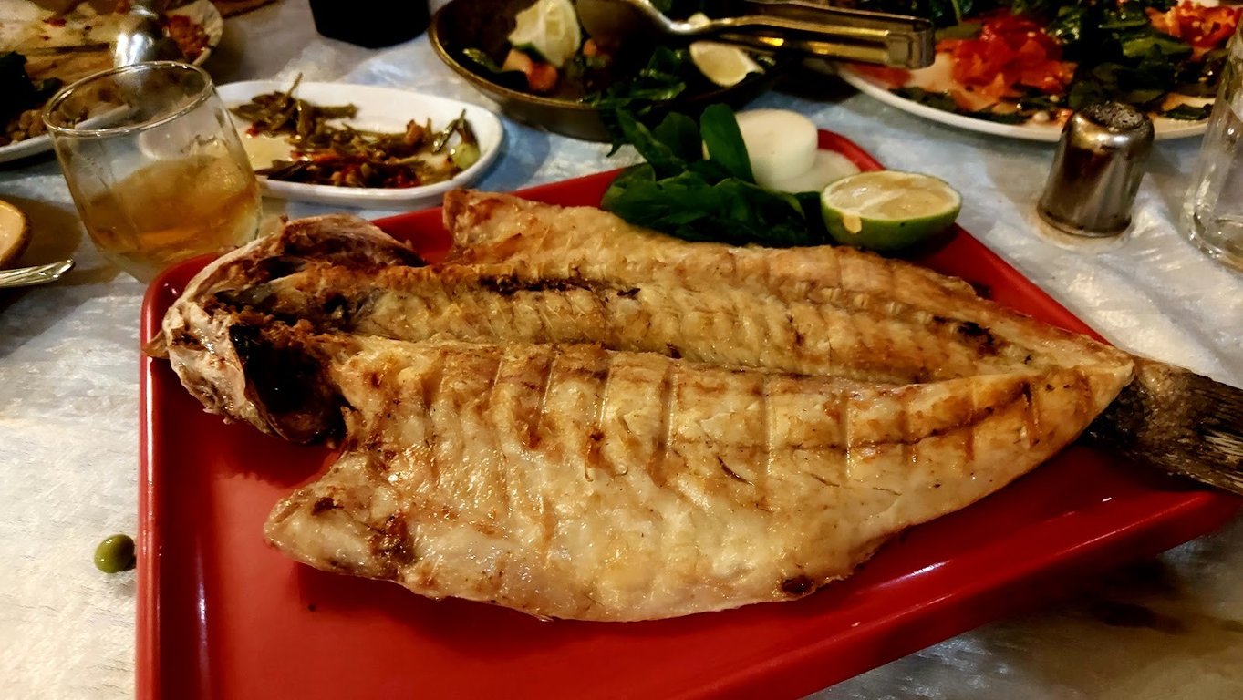 Orfoz Balıkçılık