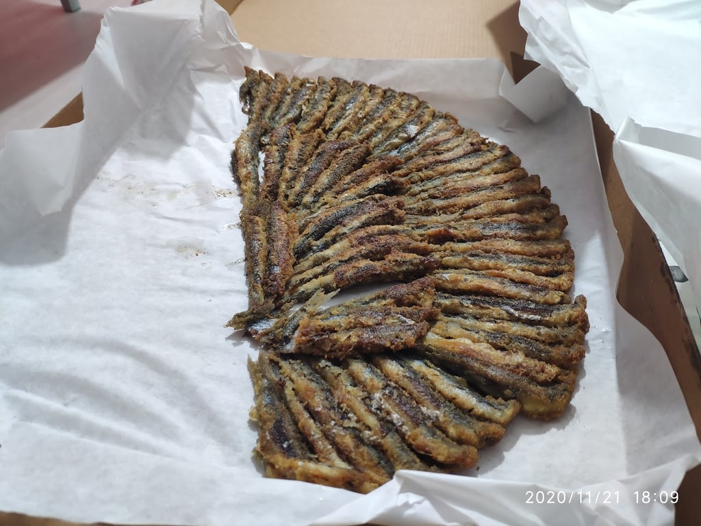 Bizim Balıkçılık