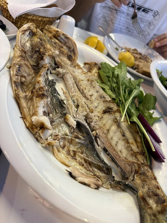 Can’in Yeri Özbek