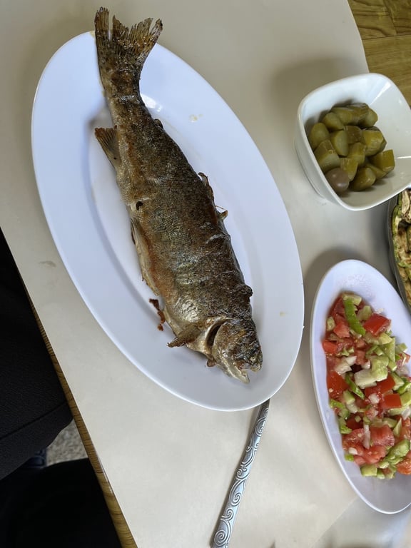 Meşeli Canlı Alabalık Tesisi