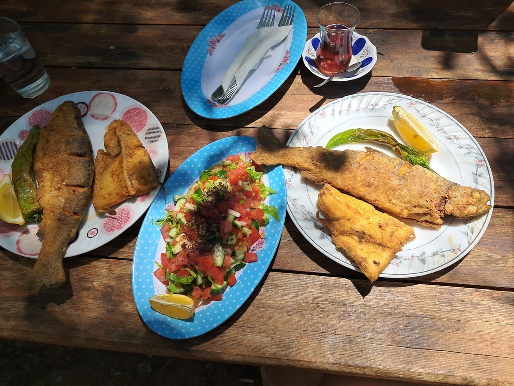 Şelale Aydın Çavuş Balık