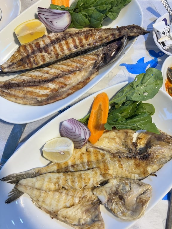 Gün Balık Evi
