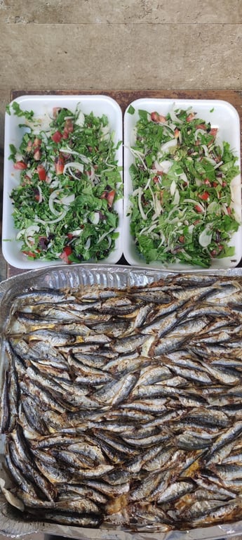 Derya Balıkçılık Elazığ