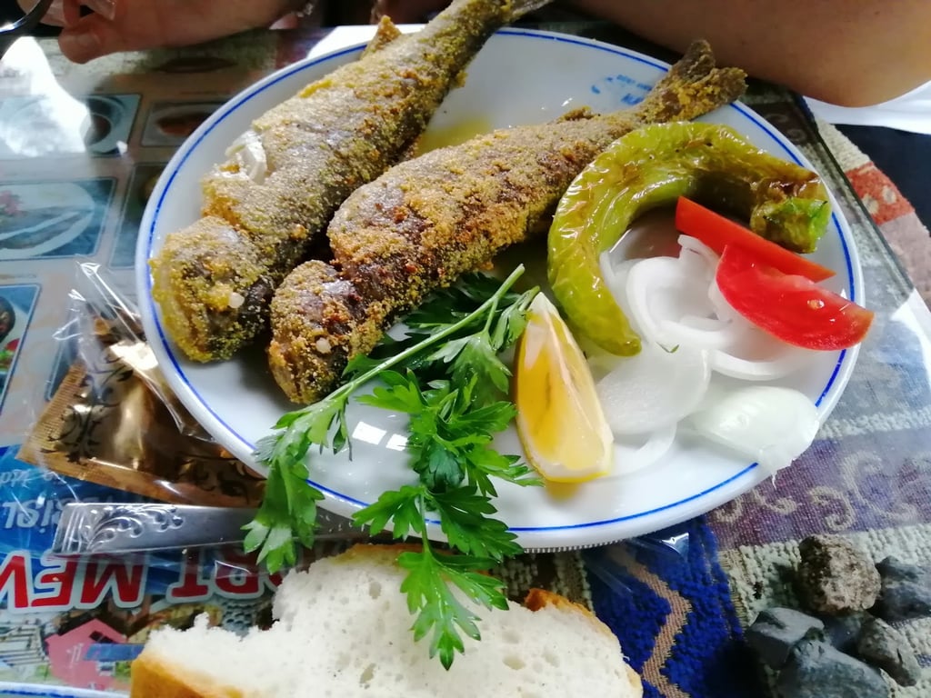 Dört Mevsim Alabalık Tesisleri