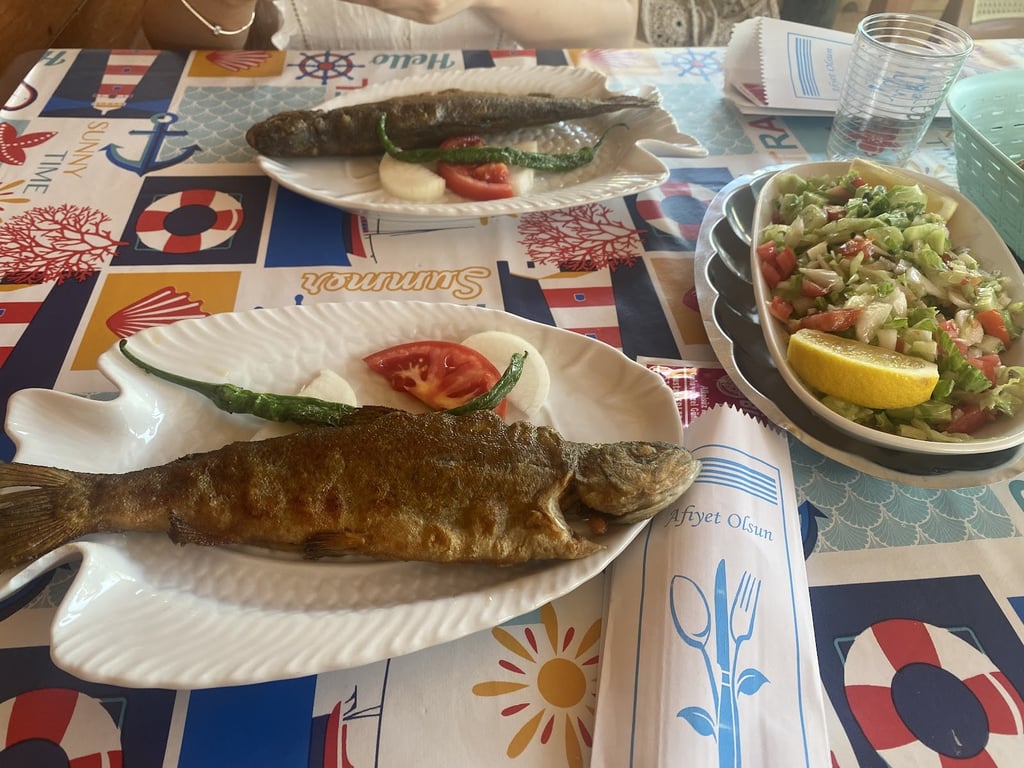Bizim Balıkçı Mustafa’nın Yeri (Alabalık Tesisi)