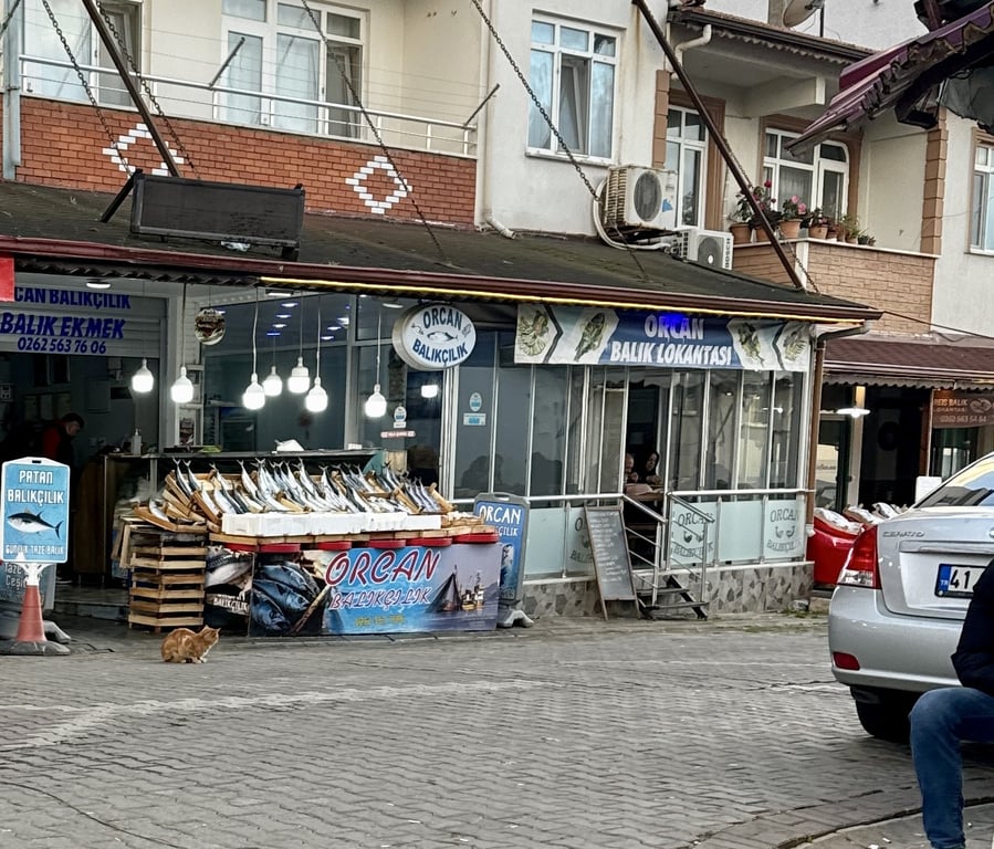 ORCAN BALIKÇILIK