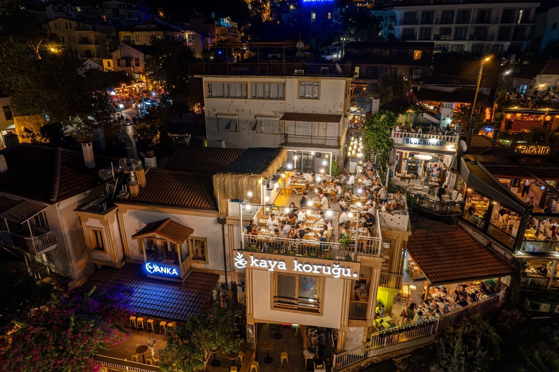 Kaya Koruğu