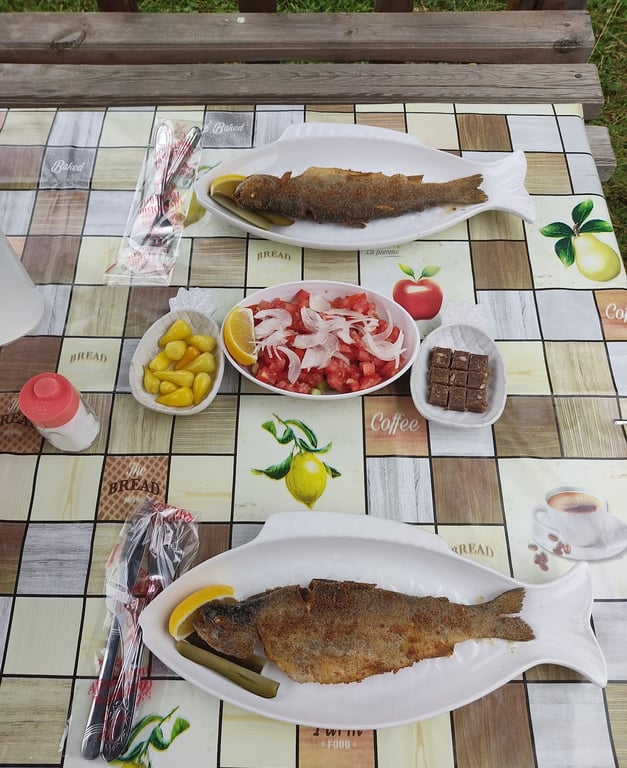 Saklı Vadi Alabalık Tesisi