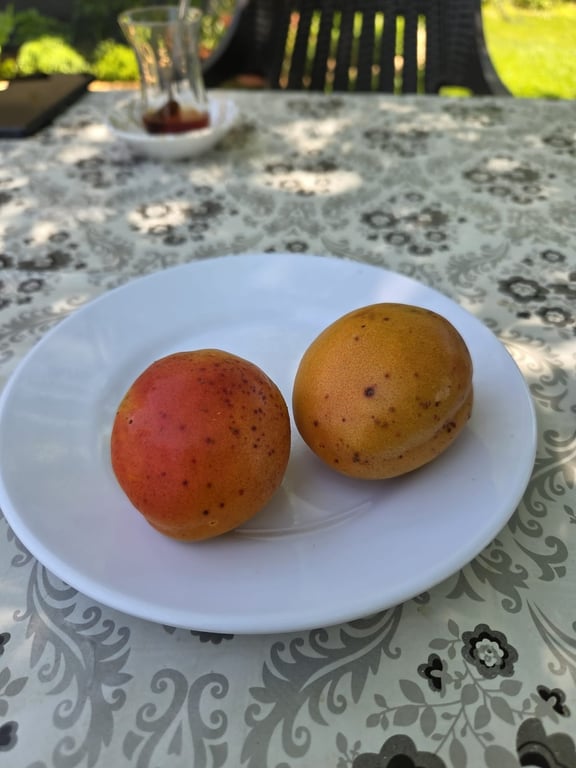 Köyüm Gözleme (Kahvaltı Saç Kavurma Yayık Ayran)