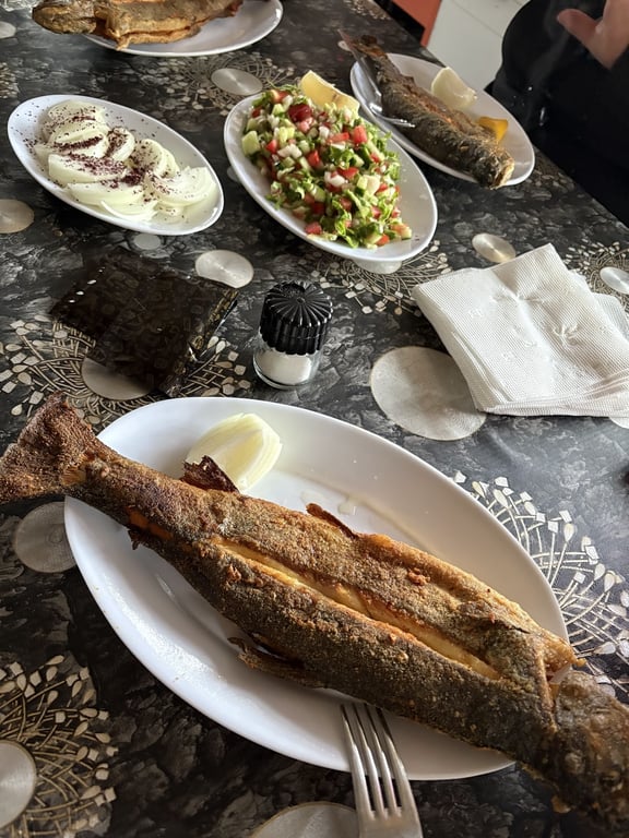 Aşağısutası Köyü Laçinler Alabalik Tesisi