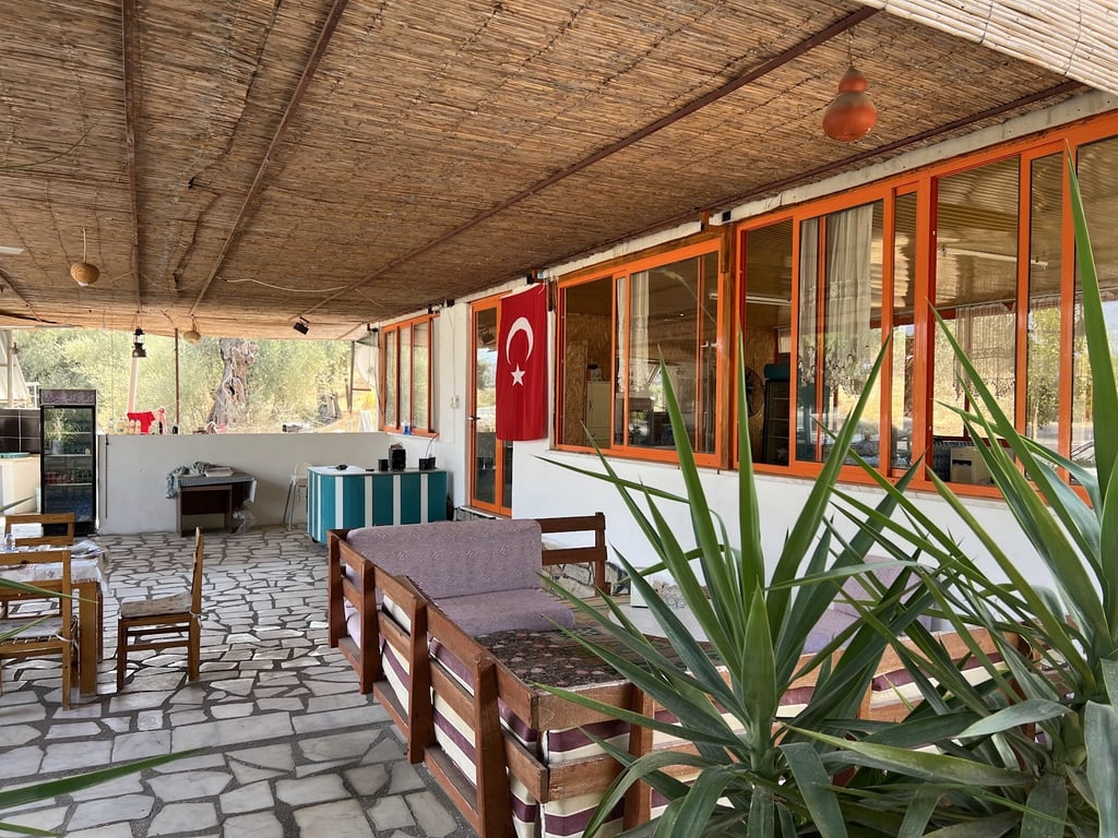 Şükran Abla'nın Yeri