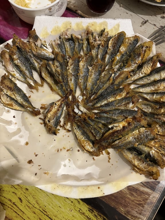 Dalyan Balıkçısı