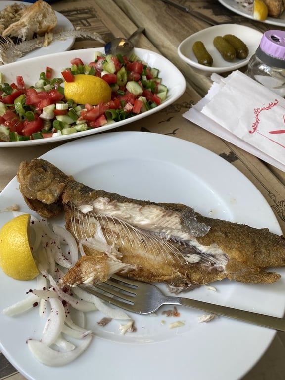 Topçuoğlu Alabalık Çiftliği