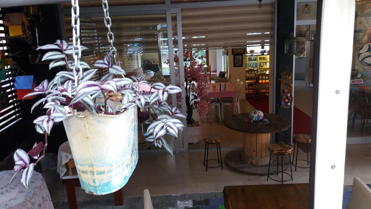 Kulübe 462 Cafe & Restaurant Zeynep Çakıcıbal