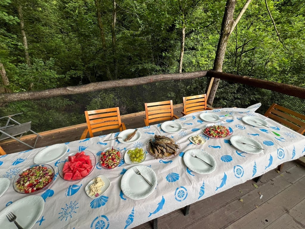 Sudüşen Alabalık Tesisi